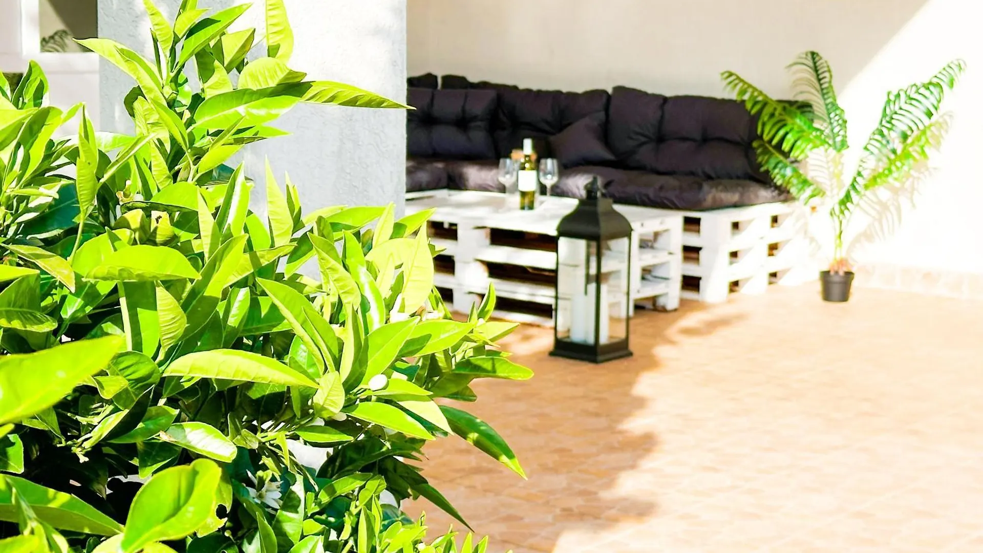 Sunside Apartments Pula Croatia
